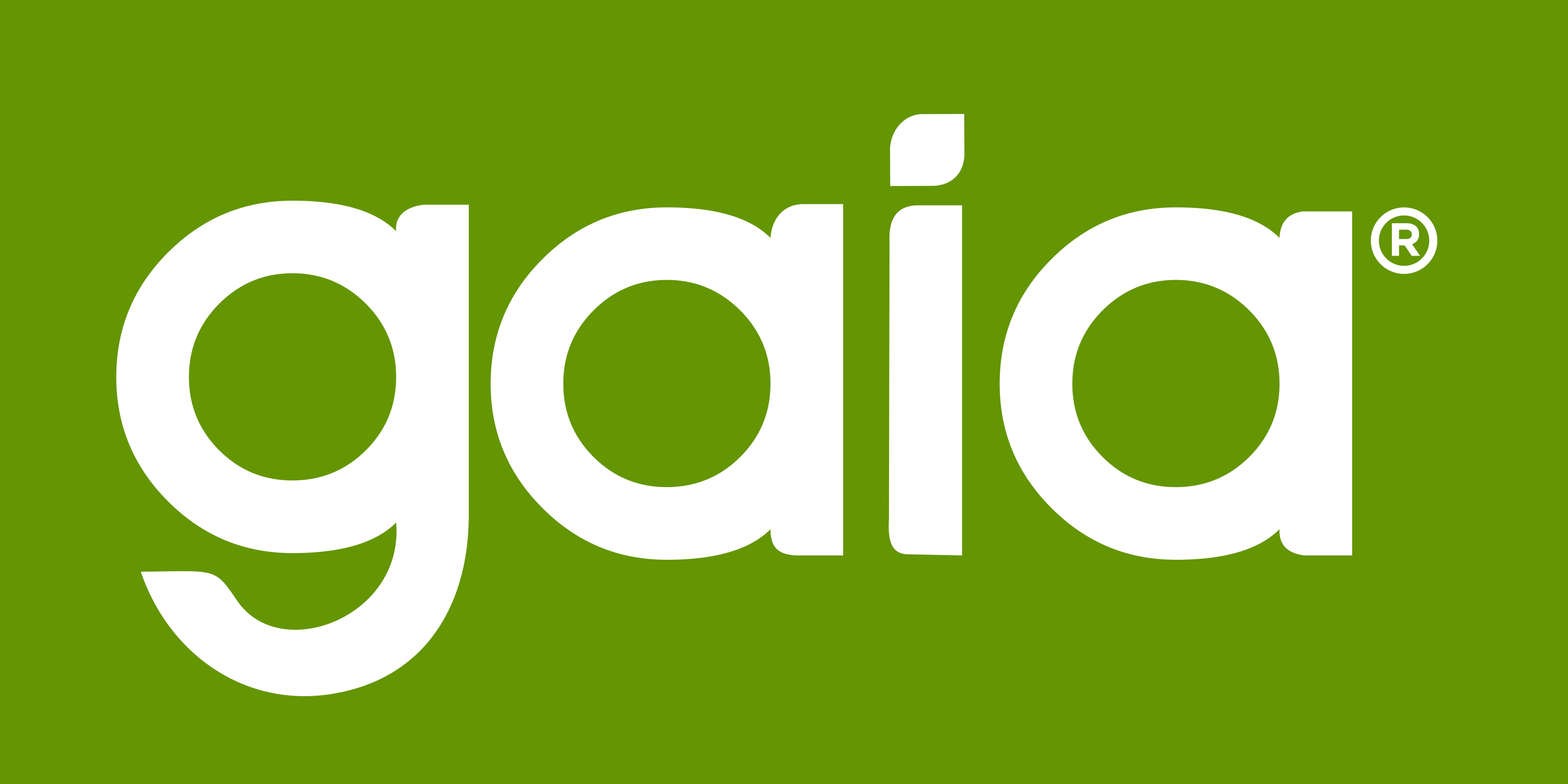 Gaia Technology