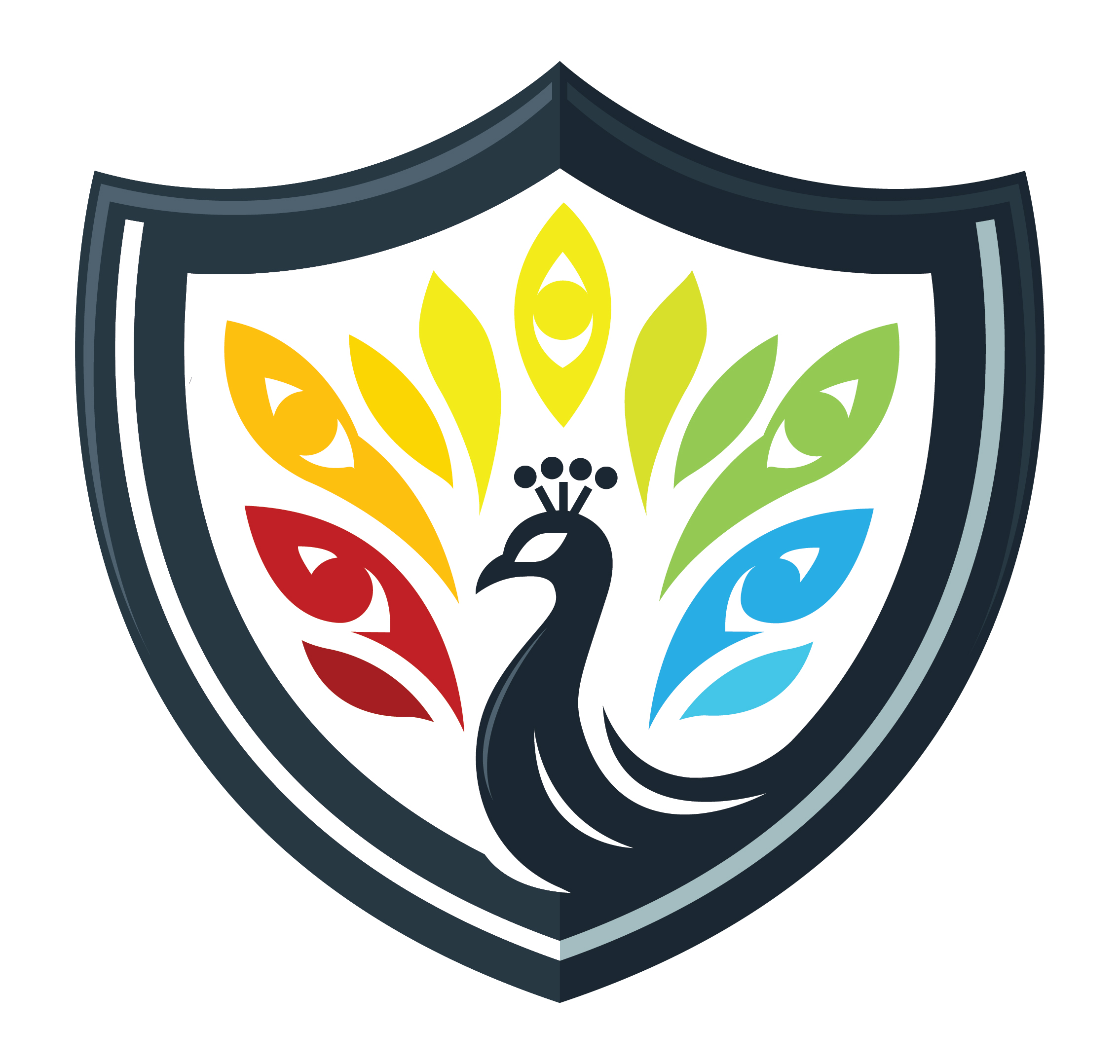 Argus Pro LLP