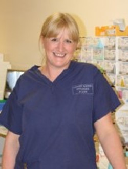 Profile image for Sarah Baker