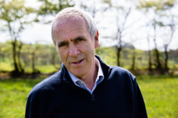 Profile image for Patrick Holden