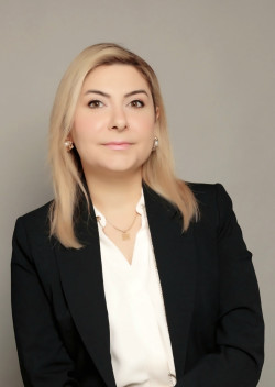 Profile image for Dr Nisreen Ameen