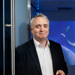 Profile image for David McIntyre